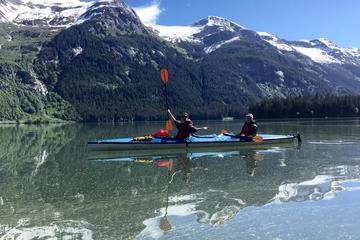 Day Trip Haines Shore Excursion: Chilkoot Lake Kayak Tour near Haines, Alaska 