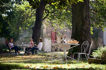 Full-Day Small-Group Guided Wine Tour from Bordeaux with Lunch