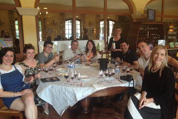 Small-Group Medoc Food and Wine Tour with Tasting from Bordeaux