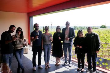 Small-Group Saint-Émilion Food and Wine Tour with Tasting from Bordeaux