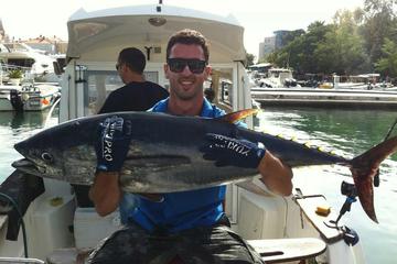 Kotor Big Game Fishing
