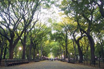 NYC Bicycle Rental