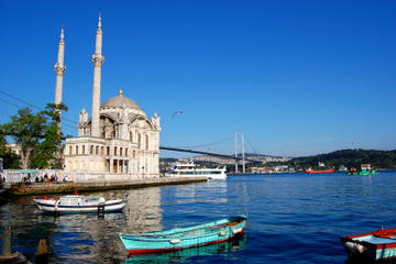 Istanbul Shore Excursion: Small-Group Bosphorus Cruise and Istanbul Egyptian Bazaar