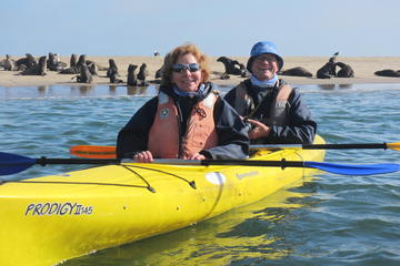Kayaking and Sandwich Habour Guided Day Tour from Walvis Bay