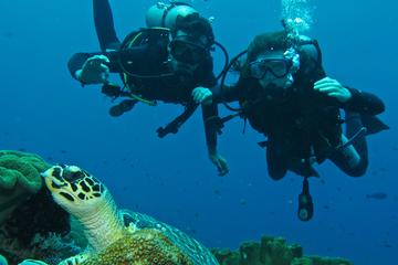 Beginner Scuba Diving Experience in Padangbai