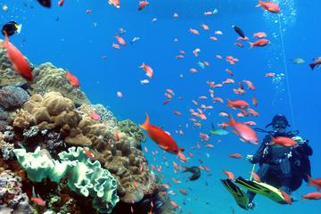 Scuba Diving in Padangbai for Certified Divers