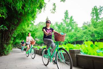 Half-Day Small Group Best of Chengdu Bike Tour