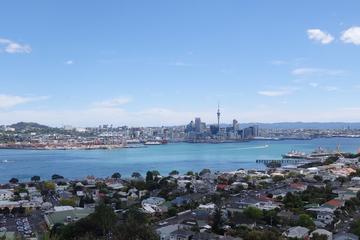 Half-Day Auckland Scenic Tour
