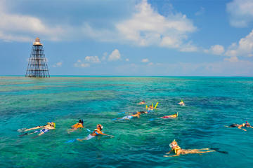 Day Trip Key West Reef Snorkeling Cruise near Key West, Florida 
