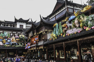 Full-Day Coach Tour: Best Of Shanghai including Lunch