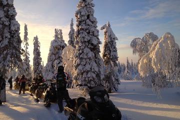 Arctic Snowmobile Tour to the Wilderness Lodge