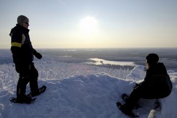 Northern Lights Snowshoe Hike in Rovaniemi