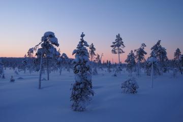Santa Claus Sleigh Ride around Arctic Circle from Rovaniemi