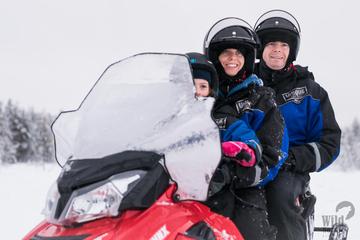 Snowmobile Safari into the Arctic Circle Forrest