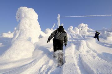 Snowshoe Tour from the Arctic Circle Wilderness Lodge in Rovaniemi
