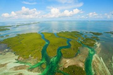 Key West Eco Tour