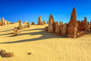 Full-Day Pinnacles Desert and Yanchep National Park Tour From Perth