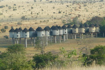 2-Day Safari in Taita Hills from Mombasa