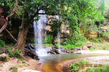 Full-Day Shimba Hills National Reserve Tour from Mombasa