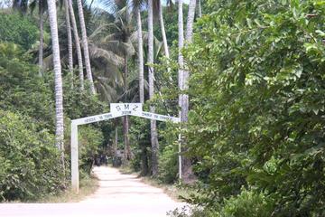 Jozani Forest Reserve Half-Day Guided Tour from Zanzibar