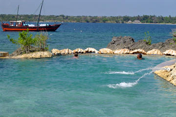 Wasini Island Full-Day Dhow Sailing Tour from Mombasa
