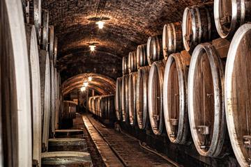 Ilok Wine and Gastro Tour from Zagreb