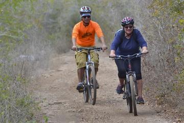 Bike Tour to the Mayan City of Dzibilchaltun