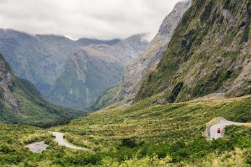Milford Sound Air, Land and Sea Day Trip from Queenstown