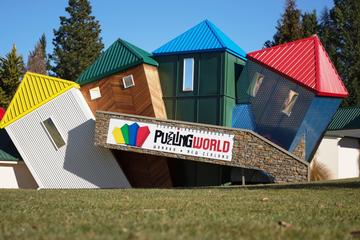 Combo Admission to Puzzling World