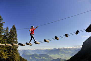 Mount Pilatus Rope Park Entrance Ticket