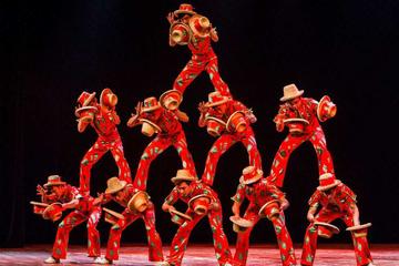 Forbidden City With VIP Acrobatic show , Dinner at Dadong Peiking Duck