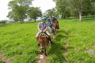 Full-Day Punta Cana Trip Including Horseback Ride