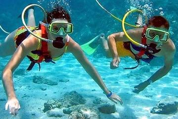 Speedboat, SNUBA, and Snorkeling from Bavaro, Punta Cana