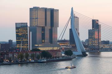 Private Cultural Walking Tour in Rotterdam