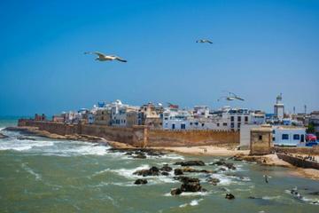 Essaouira Mogador: Small-Group Day Trip from Marrakech