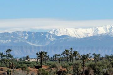 Marrakech Dune Buggy or Quad Bike Tour with Guide