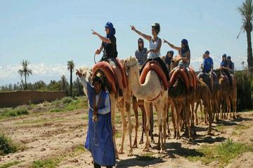 Marrakech Palmeraie 2-Hour Camel Ride