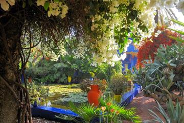 Prestigious Majorelle Garden and Camel riding in Marrakech Desert Palm Oasis including snacks and tea with the locals