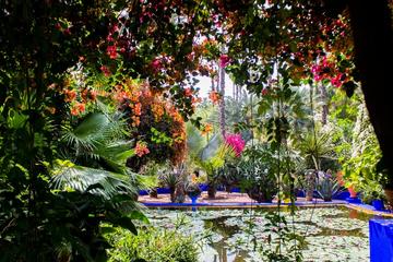 Prestigious Majorelle Garden and off-Road Buggy or Quad biking adventure in Marrakech Desert Palm Oasis