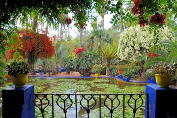 Private Yves Saint Laurent Garden tour and Camel riding in Marrakech desert palm oasis