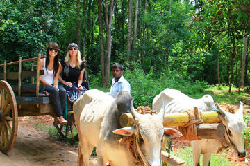 02 Days Private Dambulla & Habarana Tour With Village Experience From Colombo