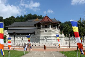 2 Day Tour to Kandy&Nuwara Eliya from Colombo