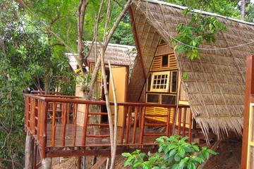 2 Night at Rain Forest in the Heart of Nature-Royal Belum National Park