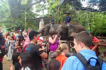 ABORIGINE SETTLEMENT & ELEPHANT SANCTUARY