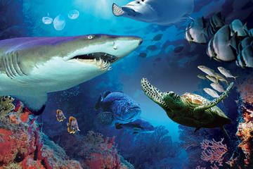 Aquaria KLCC Admission Ticket & Free Kuala Lumpur City Tour