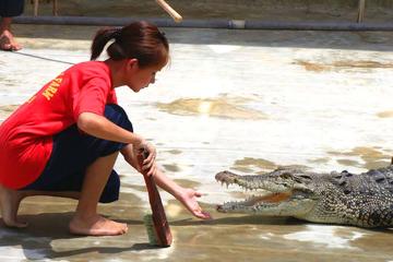 Crocodile Farm Tour & Tuaran Temple From Kota Kinabalu