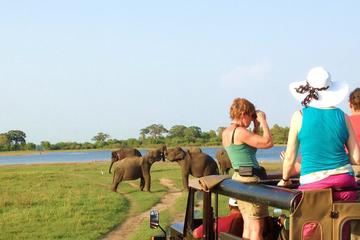 Day Excursions to Wasgamuwa National Park From Colombo