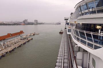 Day Trip from Port Klang Terminal to Kuala Lumpur City with Lunch