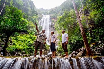 Discover Rain forest of Langkawi  (Dawn or Dusk)