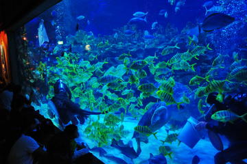 Explore The World of Animal Paradise Full Day Tour From Kuala Lumpur